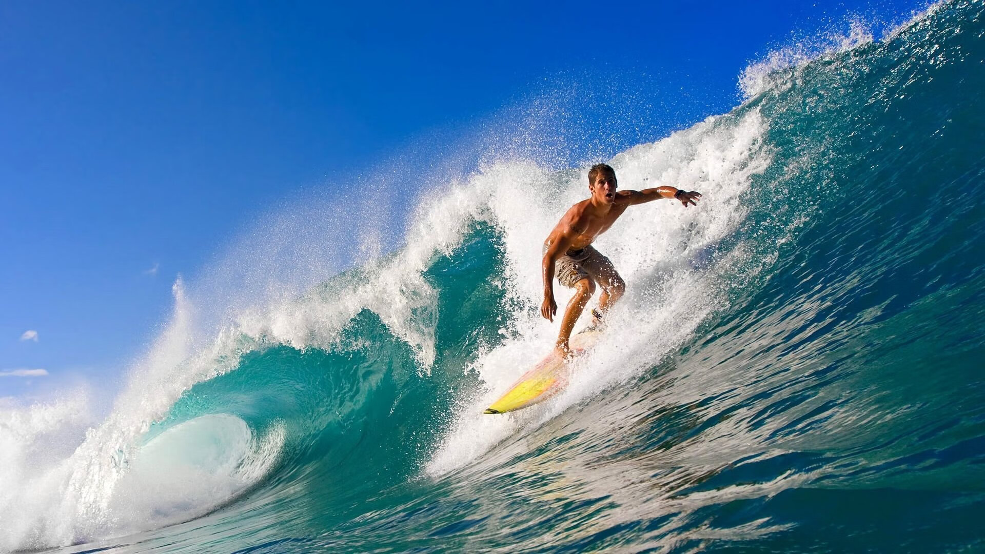 王宗源跳水动作流畅无瑕疵，王宗源跳水比赛