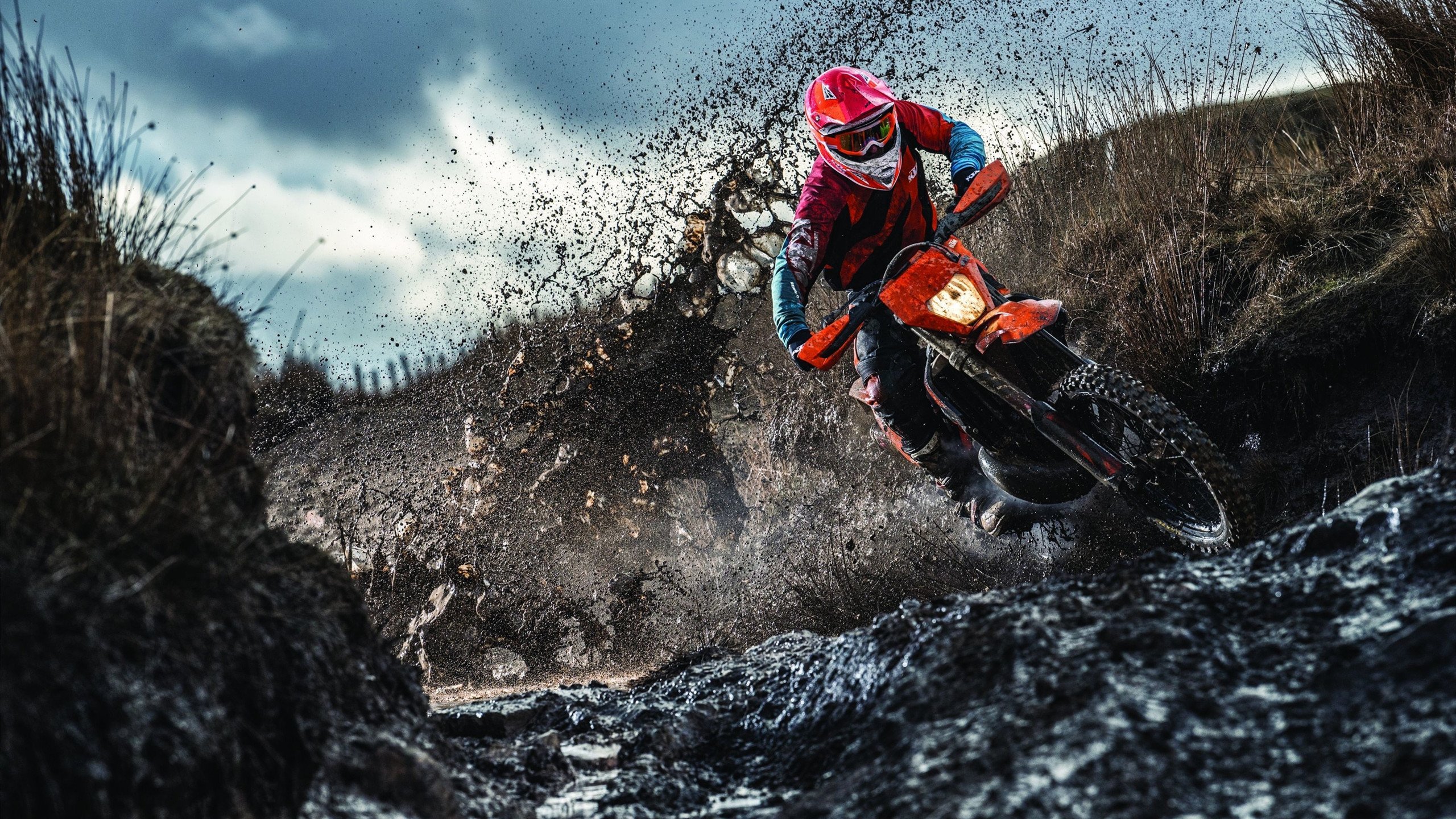 跳水配合默契韩国表现优异,跳水韩国选手